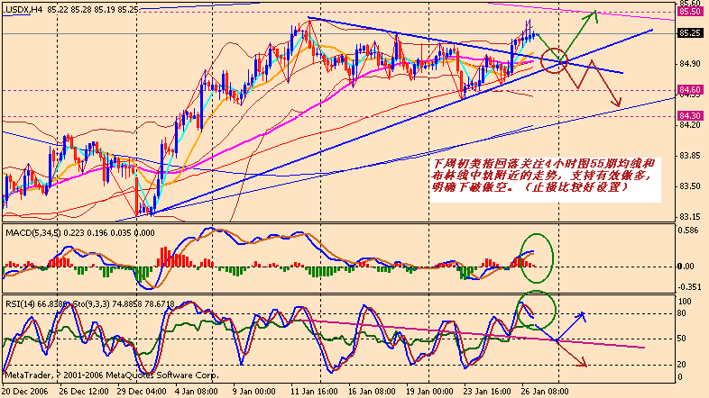 070129 usdx 4h-1.gif